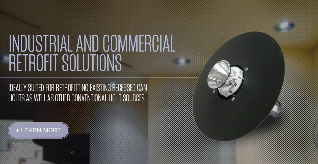 Ideally suited for retrofitting existing recessed can lights as well as other conventional light sources.